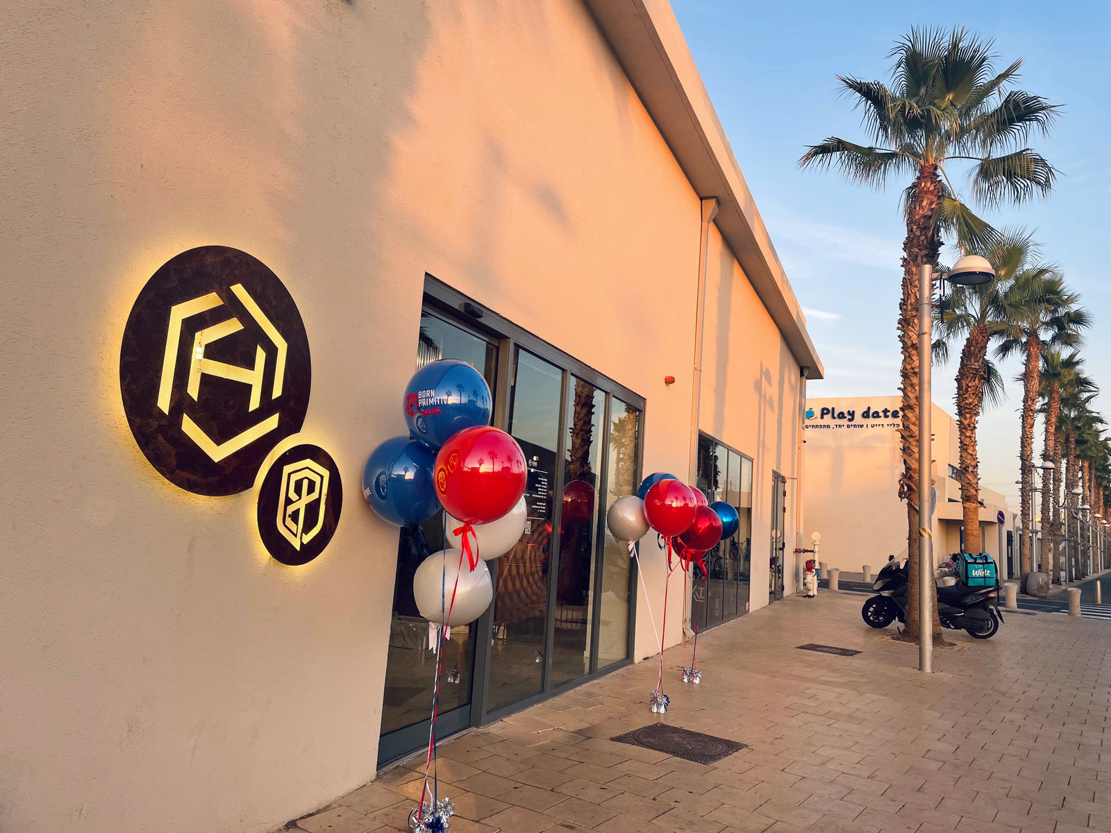 בורן פרימיטיב ישראל